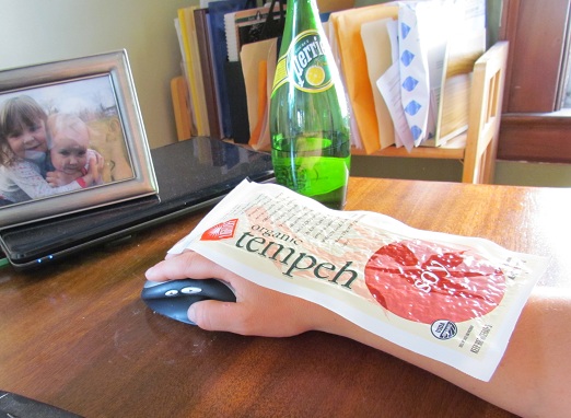 Surf the Web with Tempeh!