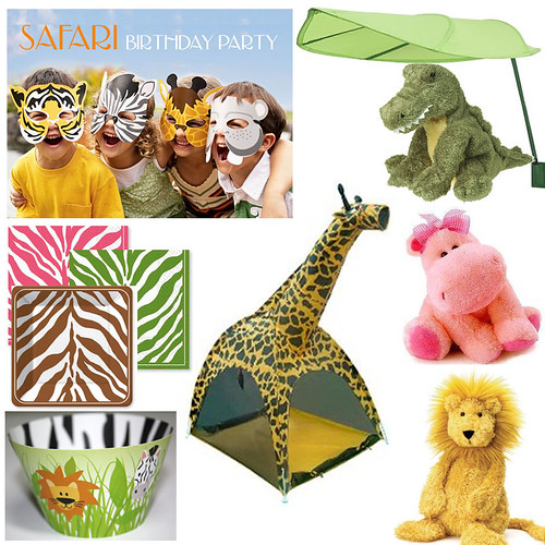 Safari Inspiration Board