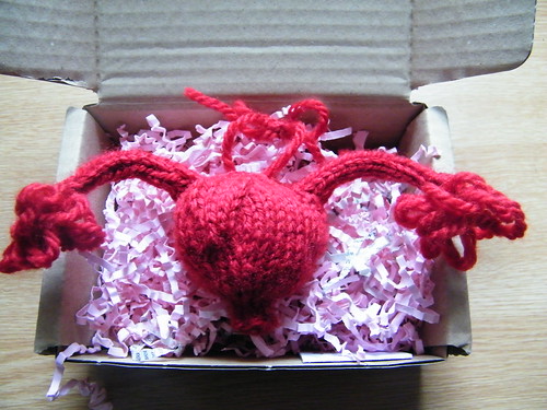 Knitted womb