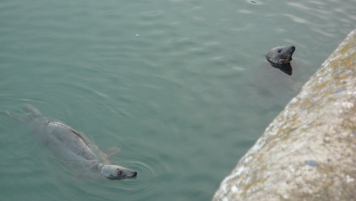 Two seals