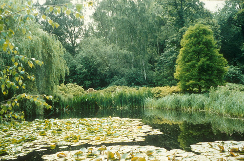Isabella Pond