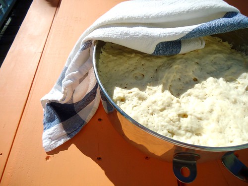 rising dough in the sun
