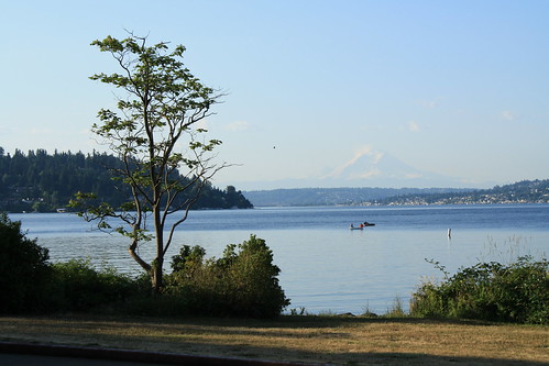 View from Seward Park