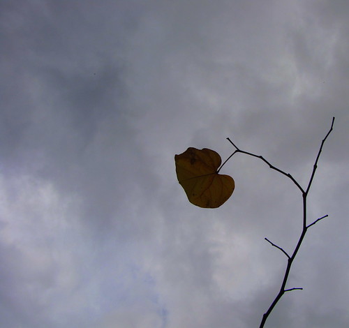 the last leaf