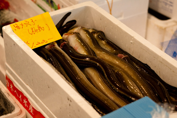 Tsukiji fish market