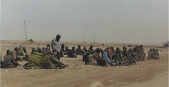 Desert Storm Iraqi Prisoners