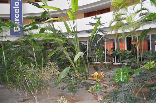 Vegetación en el interior del Hotel