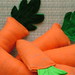 Carrot Patch par the Birch Perch