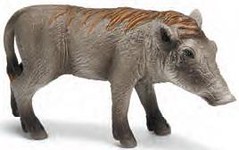 Warzenschwein Ferkel by Kiryuha180