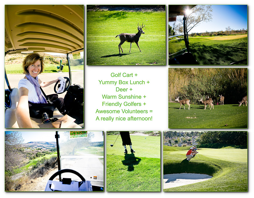 golf cart bonanza