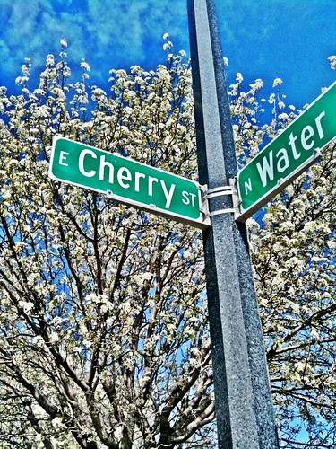 Cherry and Water