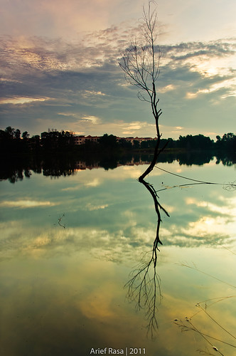 Another Solitary Tree..Again by Arief Rasa