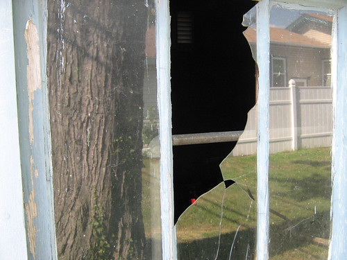 broken window with tree reflection