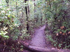 A trail in the woods at Camp Classen
