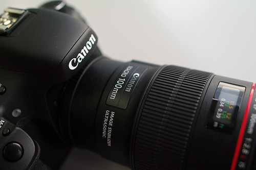 Canon-7D-11 macro100mm