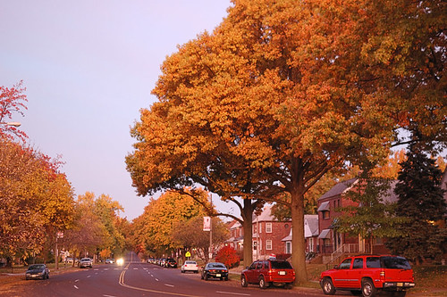 Street at dawn with fall colors