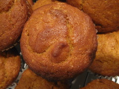 Our new favorite muffin... pumpkin muffin!