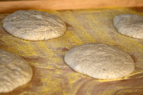 rye loaves on cornmeal