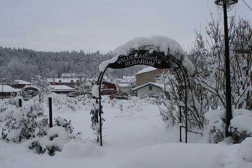 Lunchpaus i snöigt Valdemarsvik