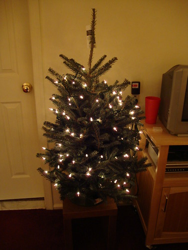 my real tabletop tree!  12/13/09