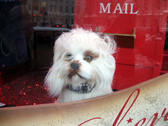 Macy's - Window 1 - Dog (Click to enlarge)