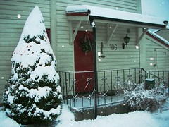 White Christmas in Oslo Norway #3