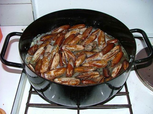 Date-shells cooking