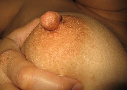 large big round tits boobs pics: bigtits