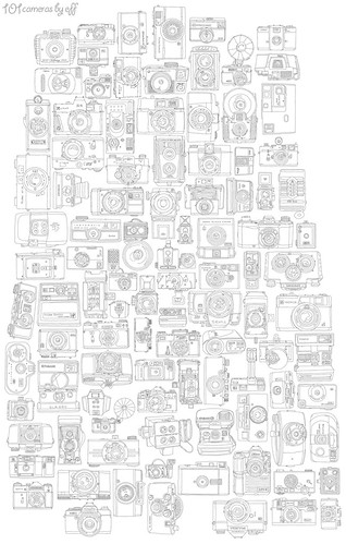 101 cameras