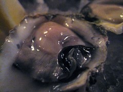 neptune oysters - juicy oysters