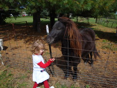 Lilliann Petting A Horse