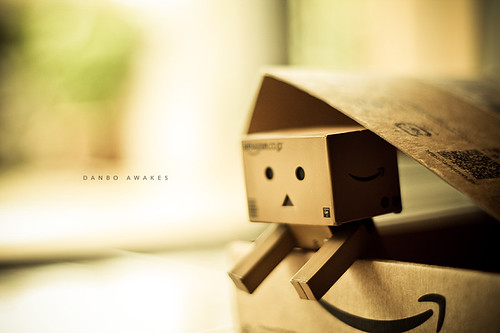 206/365: Danbo Awakes by [ embr ].