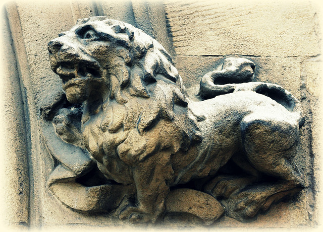 Lion in Cambridge