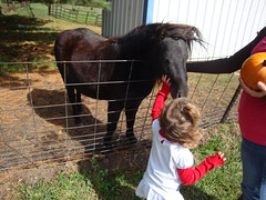 Lilliann Petting A Horse