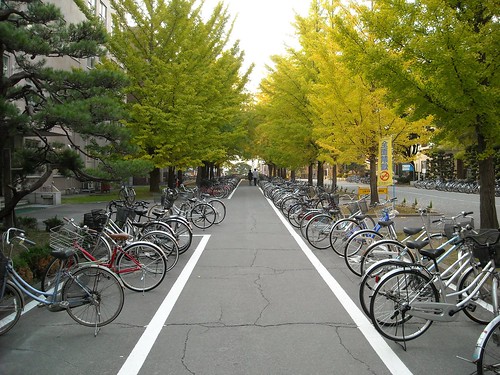 Yamagata University in Japan
