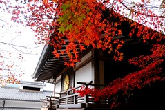 Near Sanzen-in Temple, Ohara