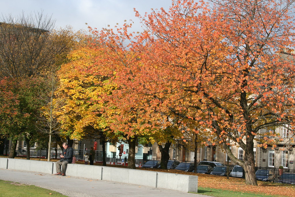 Colours in St Andrew's Square