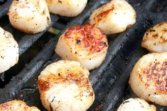 Cooked Scallops