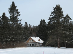 Pine road, Healey cabin 016