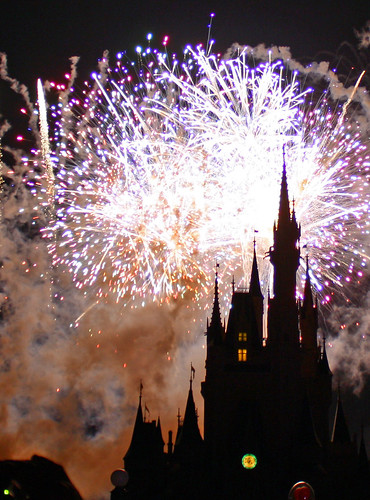 Disney World trip - day 7 - Wishes fireworks show