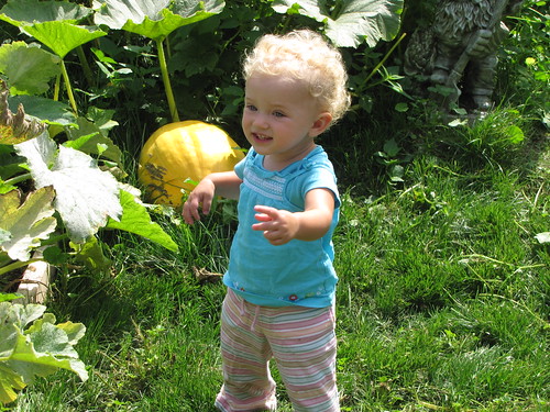 nini and the big pumpkin in our garden