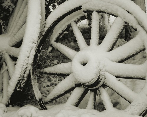 Snow Tires (thanks Peggy)