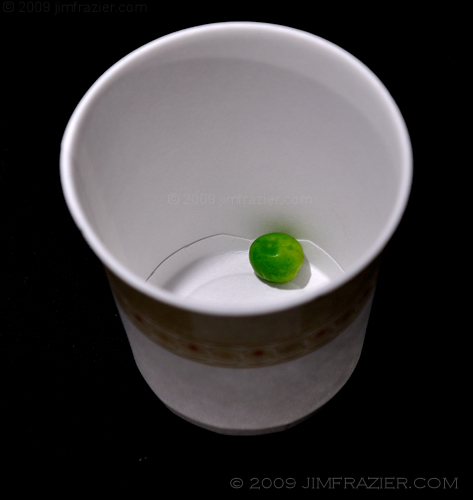 Pea in a Cup