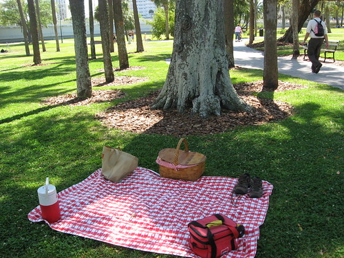 picnic in Plant Park