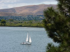 Columbia River Boat Sailing