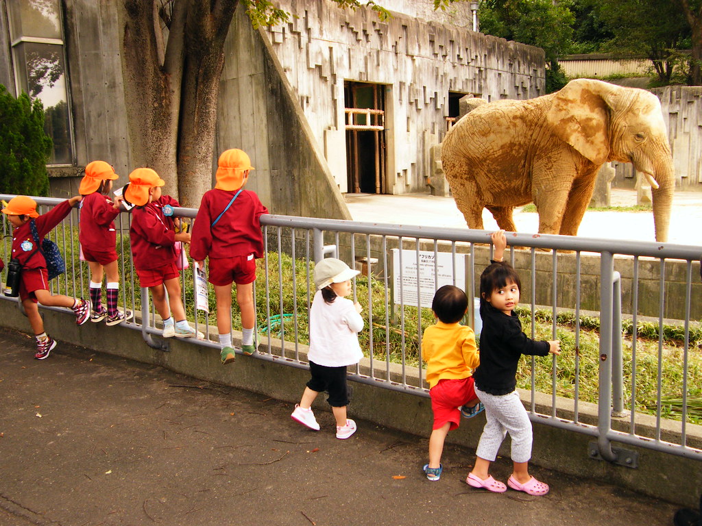Seven Kids & An Elephant