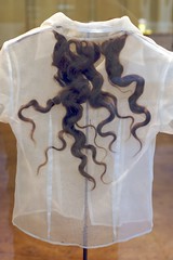 A rather different hair-shirt, on Flickr