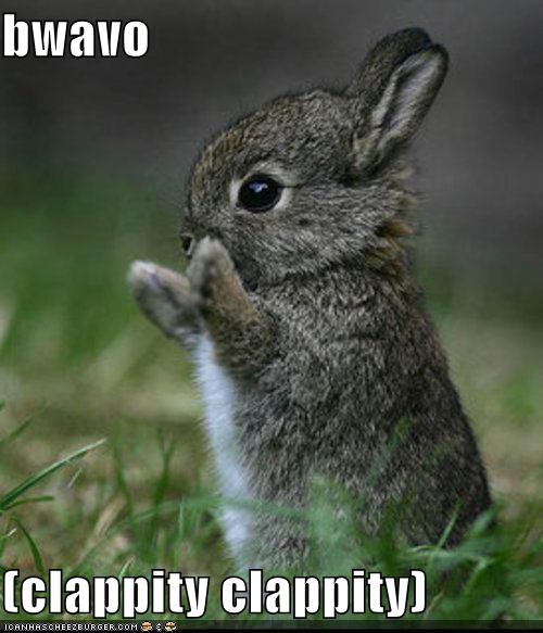 funny-pictures-bravo-bunny