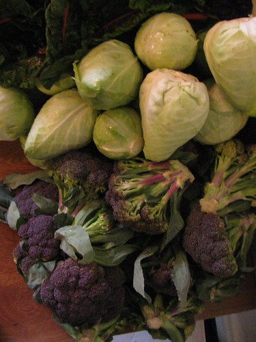 cabbage broc