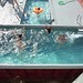 Shipping Container Pool